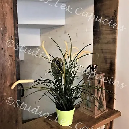 Appartamento Les Capucins - Studio Cosy - Cour Privative - Wifi
