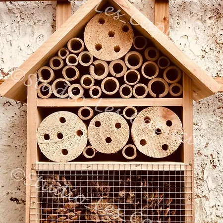 Appartamento Les Capucins - Studio Cosy - Cour Privative - Wifi